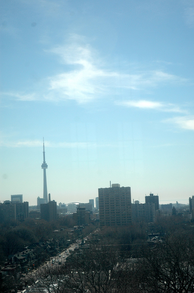 DSC_5304