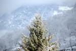 081226 - Nevicata (Biasca)