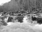 050507-08 - Natura (Campra)