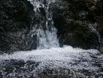 PICT2123