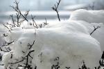 090108 - Nevicata (Biasca)