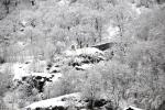 090209 - Nevicata (Biasca)