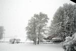 060127 - Nevicata (Biasca)